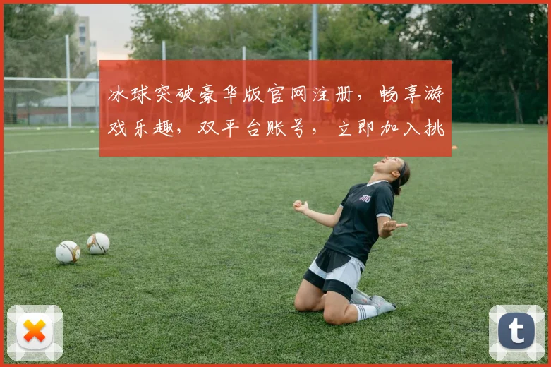 冰球突破豪华版官网注册，畅享游戏乐趣，双平台账号，立即加入挑战