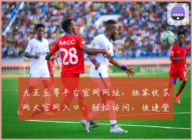 九五至尊平台官网网址，独家收录两大官网入口，轻松访问，快速登录