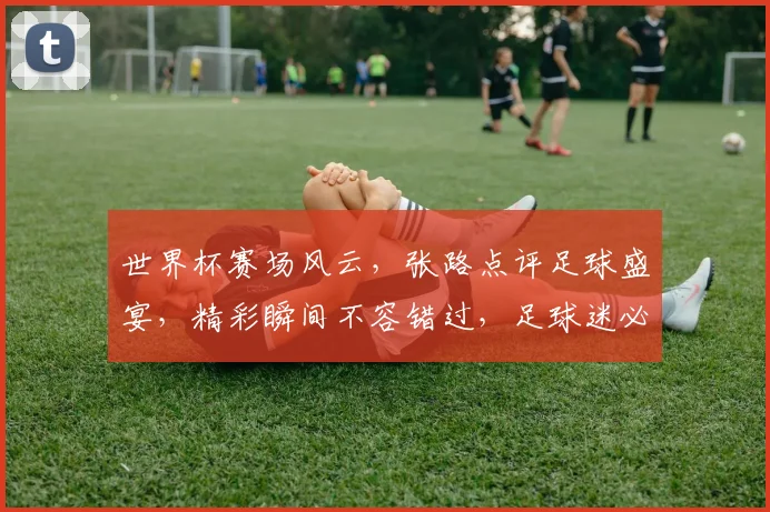 世界杯赛场风云，张路点评足球盛宴，精彩瞬间不容错过，足球迷必看