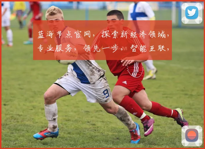 蓝海节点官网，探索新经济领域，专业服务，领先一步，智能互联，共赢未来，三大优势，必看首选
