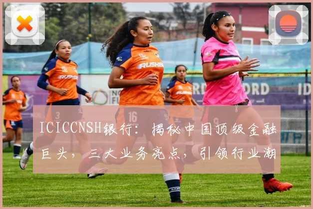 ICICCNSH银行：揭秘中国顶级金融巨头，三大业务亮点，引领行业潮流，不容错过