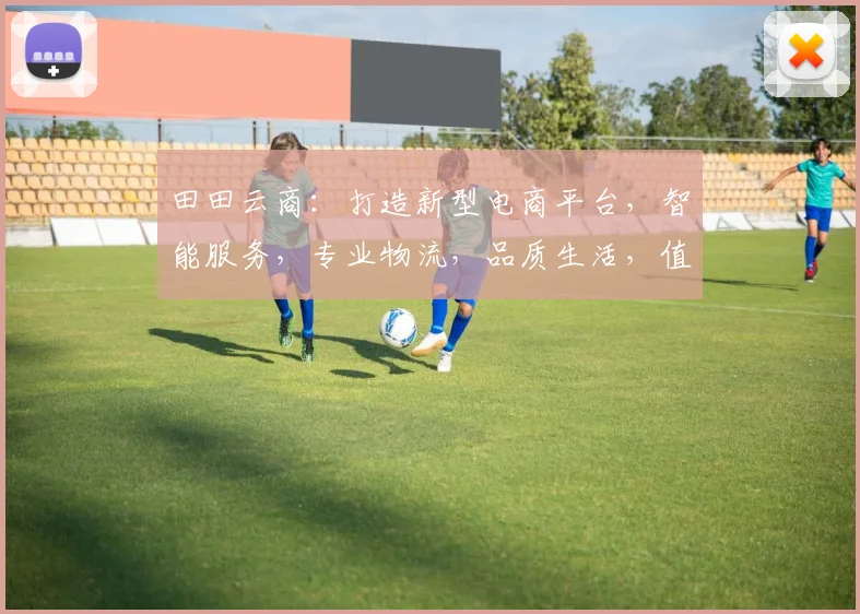 田田云商：打造新型电商平台，智能服务，专业物流，品质生活，值得信赖