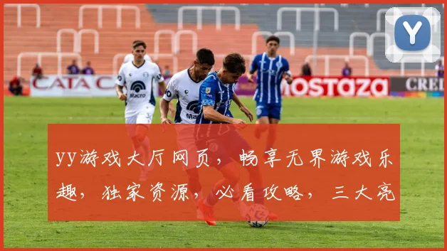 yy游戏大厅网页，畅享无界游戏乐趣，独家资源，必看攻略，三大亮点一网打尽，必看