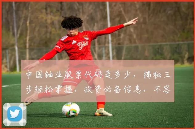 中国铀业股票代码是多少，揭秘三步轻松掌握，投资必备信息，不容错过
